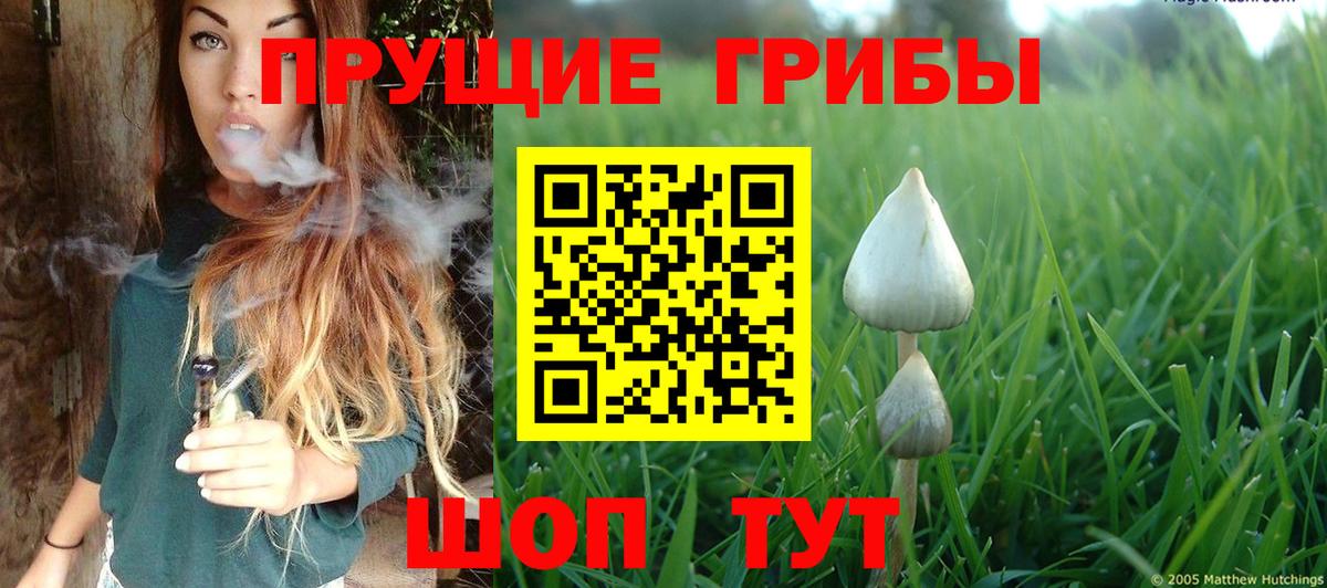 Галлюциногенные грибы MAGIC MUSHROOMS Уссурийск